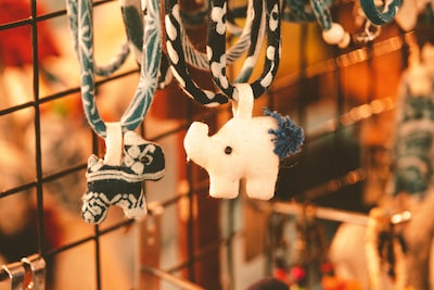 Toy animals: Jaeyoung Geoffrey Kang / Unsplash